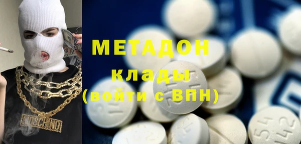 прущие грибы Абаза