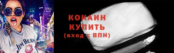 прущие грибы Абаза