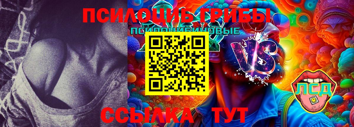 Псилоцибиновые грибы Cubensis Астрахань
